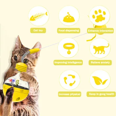 Jouets interactifs pour chats Chaton Stick et Fun Ball