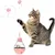 Jouets interactifs pour chats Chaton Stick et Fun Ball