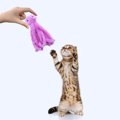 Jouet en peluche en forme de pieuvre CoolPetGear 2 pièces