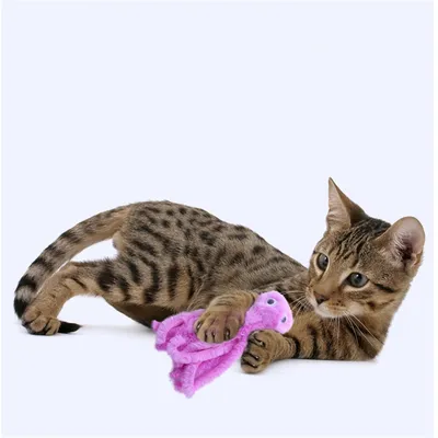Jouet en peluche en forme de pieuvre CoolPetGear 2 pièces