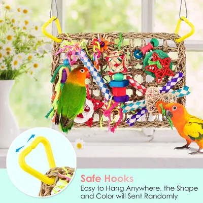 Jeux pour oiseaux - Matériel de forage, chewing, escalade