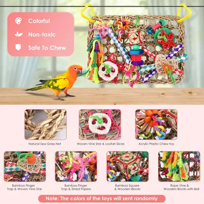 Jeux pour oiseaux - Matériel de forage, chewing, escalade