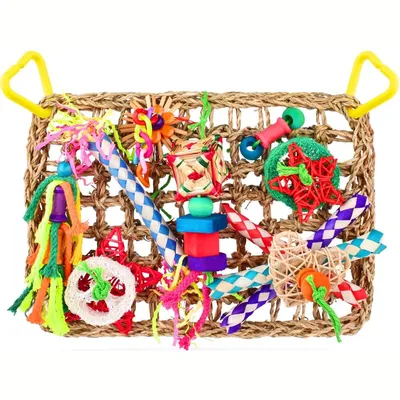 Jeux pour oiseaux - Matériel de forage, chewing, escalade