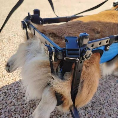 MCBOSON Silla de ruedas para perros