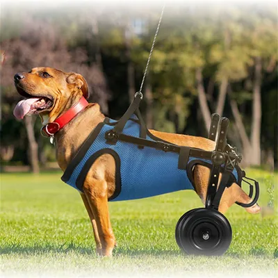 MCBOSON Hunde-Rollstuhl MCBOSON Hunde-Rollstuhl