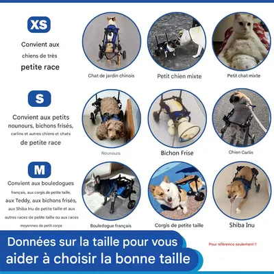MCBOSON Fauteuil roulant pour chien