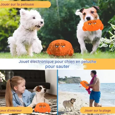 MCBOSON  Jouet en peluche pour chien - Électrique
