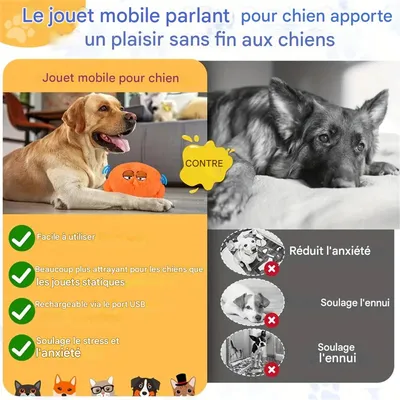 MCBOSON  Jouet en peluche pour chien - Électrique