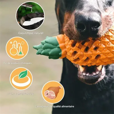 MCBOSON Juguete masticable para perros
