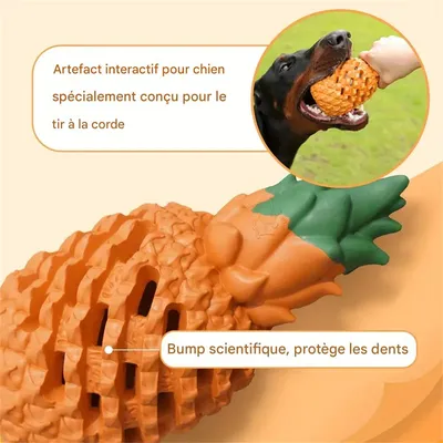 MCBOSON Jouet Chew pour chien