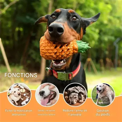 MCBOSON Jouet Chew pour chien