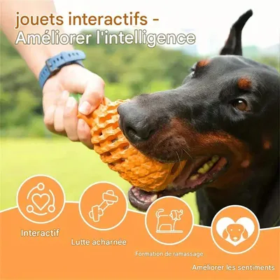 MCBOSON Juguete masticable para perros
