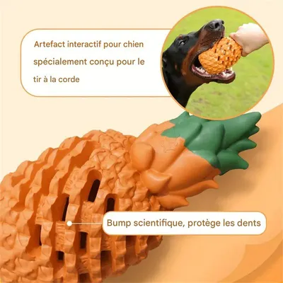MCBOSON Juguete masticable para perros