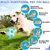 Balls pour chiens - Interactif, nettoyage des dents