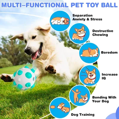 Balls pour chiens - Interactif, nettoyage des dents