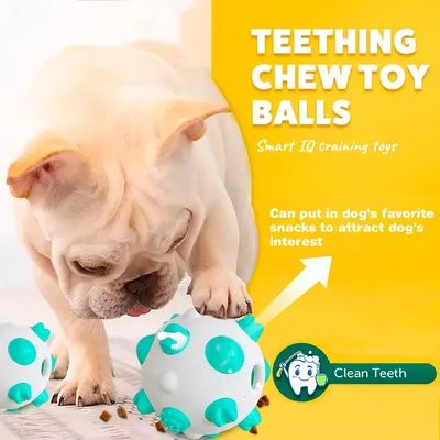 Balls pour chiens - Interactif, nettoyage des dents