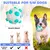 Balls pour chiens - Interactif, nettoyage des dents