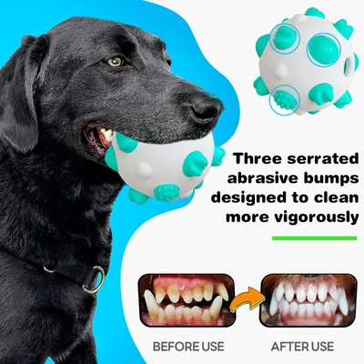 Balls pour chiens - Interactif, nettoyage des dents