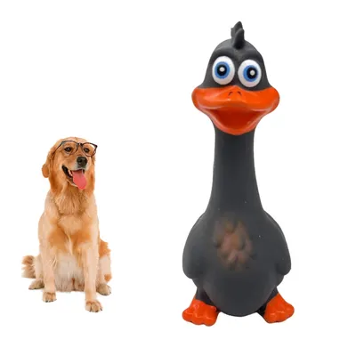 Jouet pour chien en latex CoolPetGear Sound