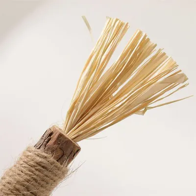 MCBOSON  Lot de 2 bâtonnets d'herbe à chat