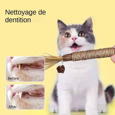 MCBOSON  Lot de 2 bâtonnets d'herbe à chat