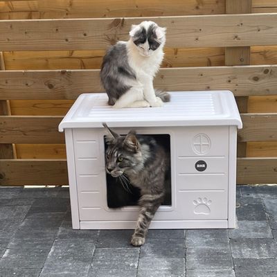 Maisonnette pour chat Villa de Luxe pour extérieur et intérieur