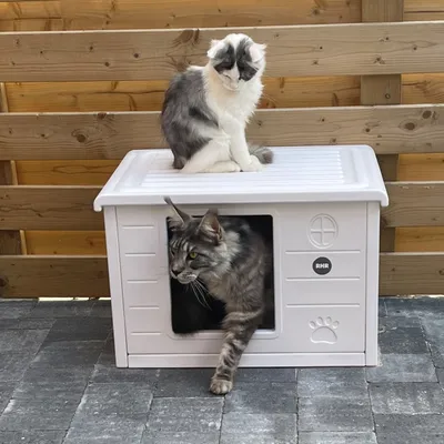 Maisonnette pour chat Villa de Luxe pour extérieur et intérieur