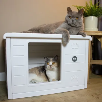 Maisonnette pour chat Villa de Luxe pour extérieur et intérieur