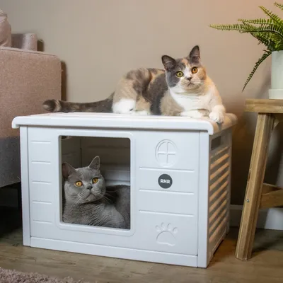 Maisonnette pour chat Villa de Luxe pour extérieur et intérieur