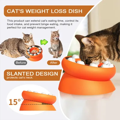 Gamelle pour chat - Surélevée avec support, jouet puzzle interactif