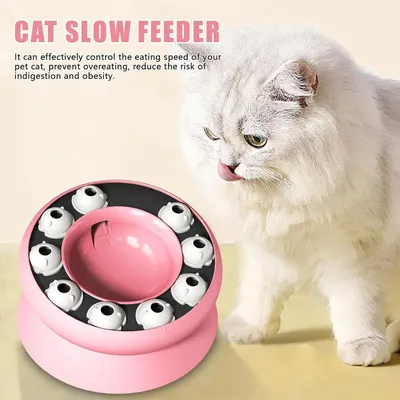 Gamelle pour chat - Surélevée avec support, jouet puzzle interactif