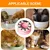 Gamelle pour chat - Surélevée avec support, jouet puzzle interactif