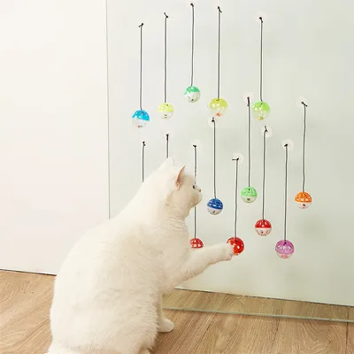 Cloche à vide CoolPetGear Bounce Ball - Pour chats