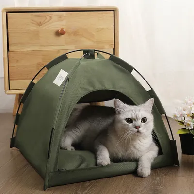 MCBOSON Lit de camp pour chat