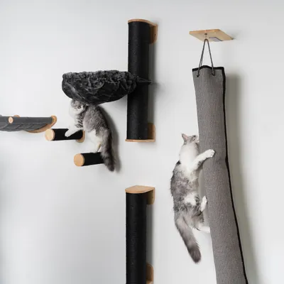 Mur d’escalade pour chat - Sac à grimper
