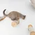 Mur d’escalade pour chat - Ensemble de poteaux muraux en sisal