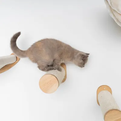 Mur d’escalade pour chat - Ensemble de poteaux muraux en sisal