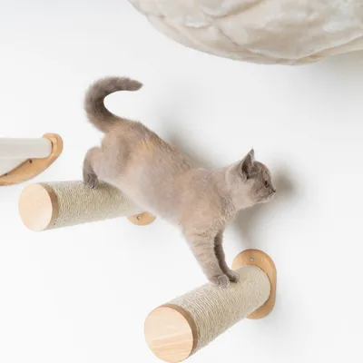 Mur d’escalade pour chat - Ensemble de poteaux muraux en sisal
