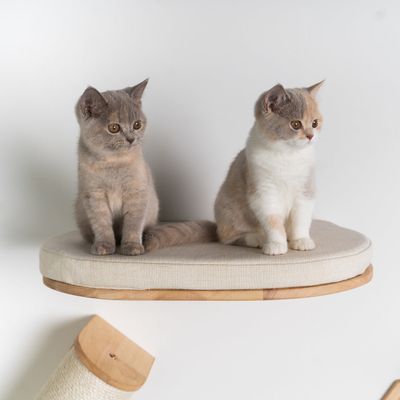 Mur d’escalade pour chat - Luxueux lit mural pour chat