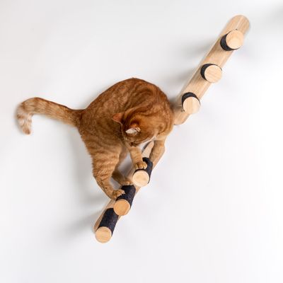 Mur d’escalade pour chat - Ensemble d’échelles