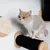 Mur d’escalade pour chat - Ensemble de poteaux muraux en sisal