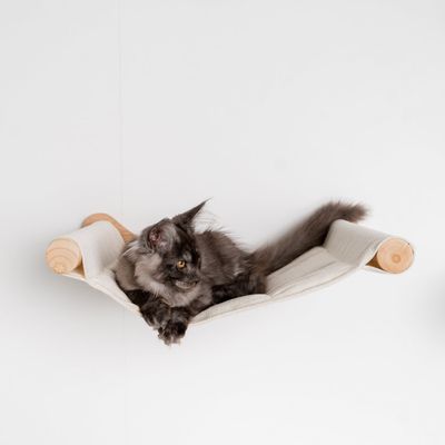 Mur d’escalade pour chat - Luxueux hamac mural XXL