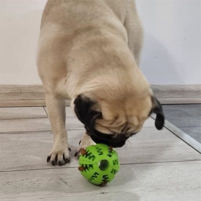MCBOSON Pelota de goma para perros 2 en 1