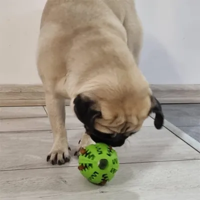 MCBOSON Balle encaoutchouc 2 en 1 pour chien