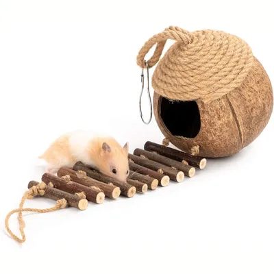 Nid et jouet pour oiseaux et hamsters avec échelle