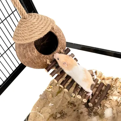 Nid et jouet pour oiseaux et hamsters avec échelle