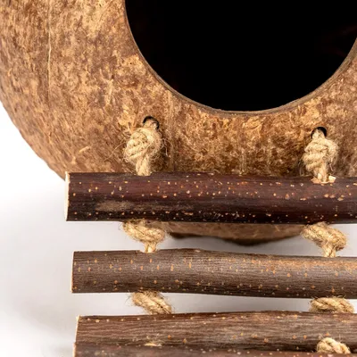 Nid et jouet pour oiseaux et hamsters avec échelle