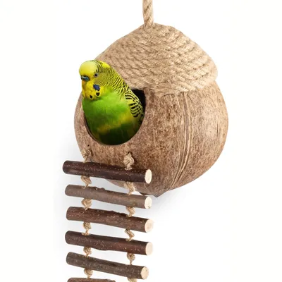 Nid et jouet pour oiseaux et hamsters avec échelle