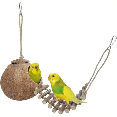 Nid et jouet pour oiseaux et hamsters avec échelle