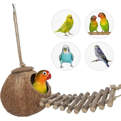 Nid et jouet pour oiseaux et hamsters avec échelle